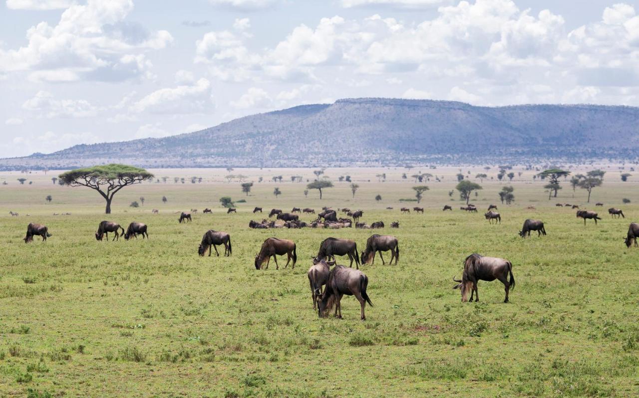 Ngorongoro Lodge Member Of Melia Collection - The Leading Hotels Of The World Exteriör bild