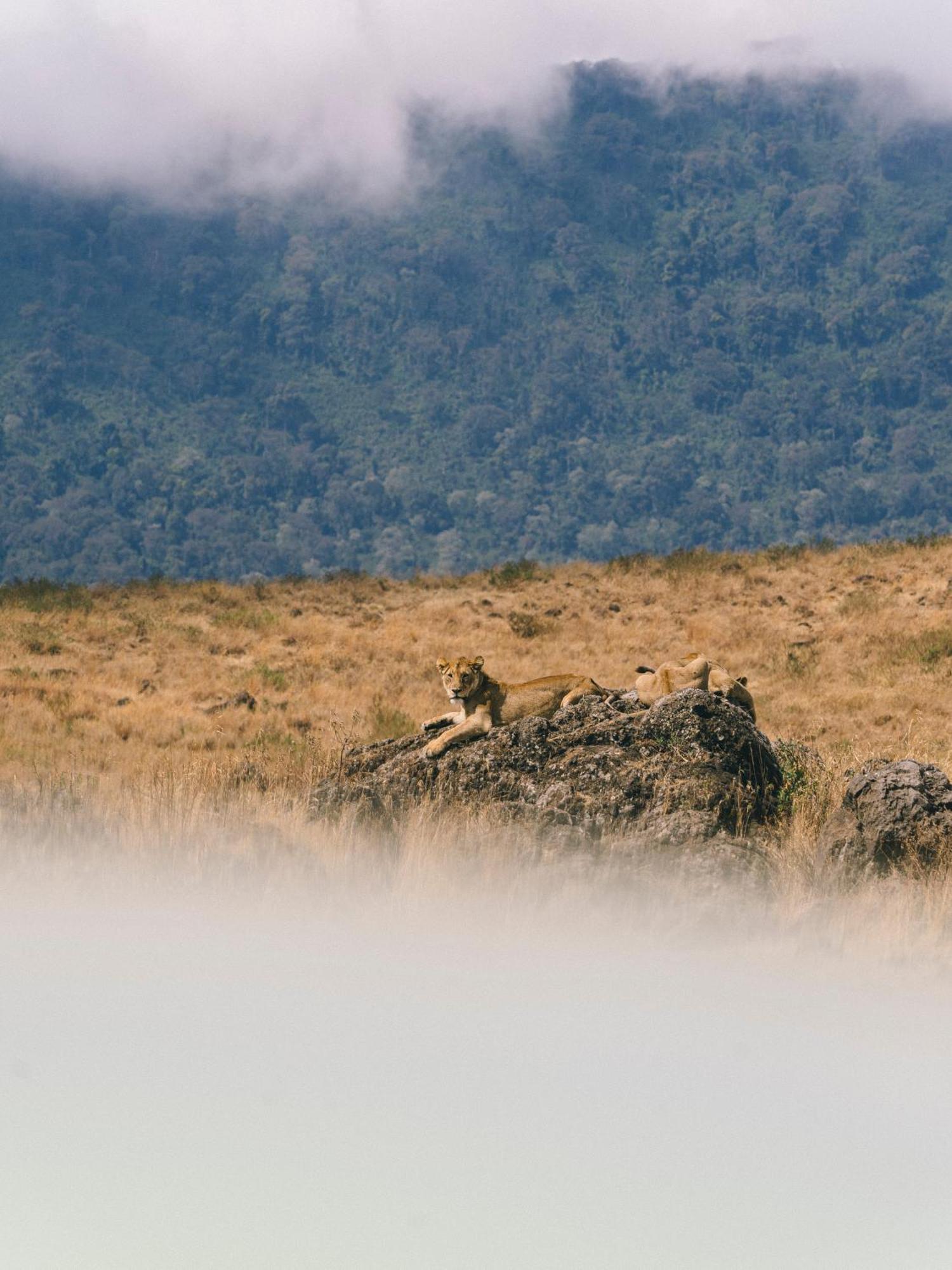 Ngorongoro Lodge Member Of Melia Collection - The Leading Hotels Of The World Exteriör bild