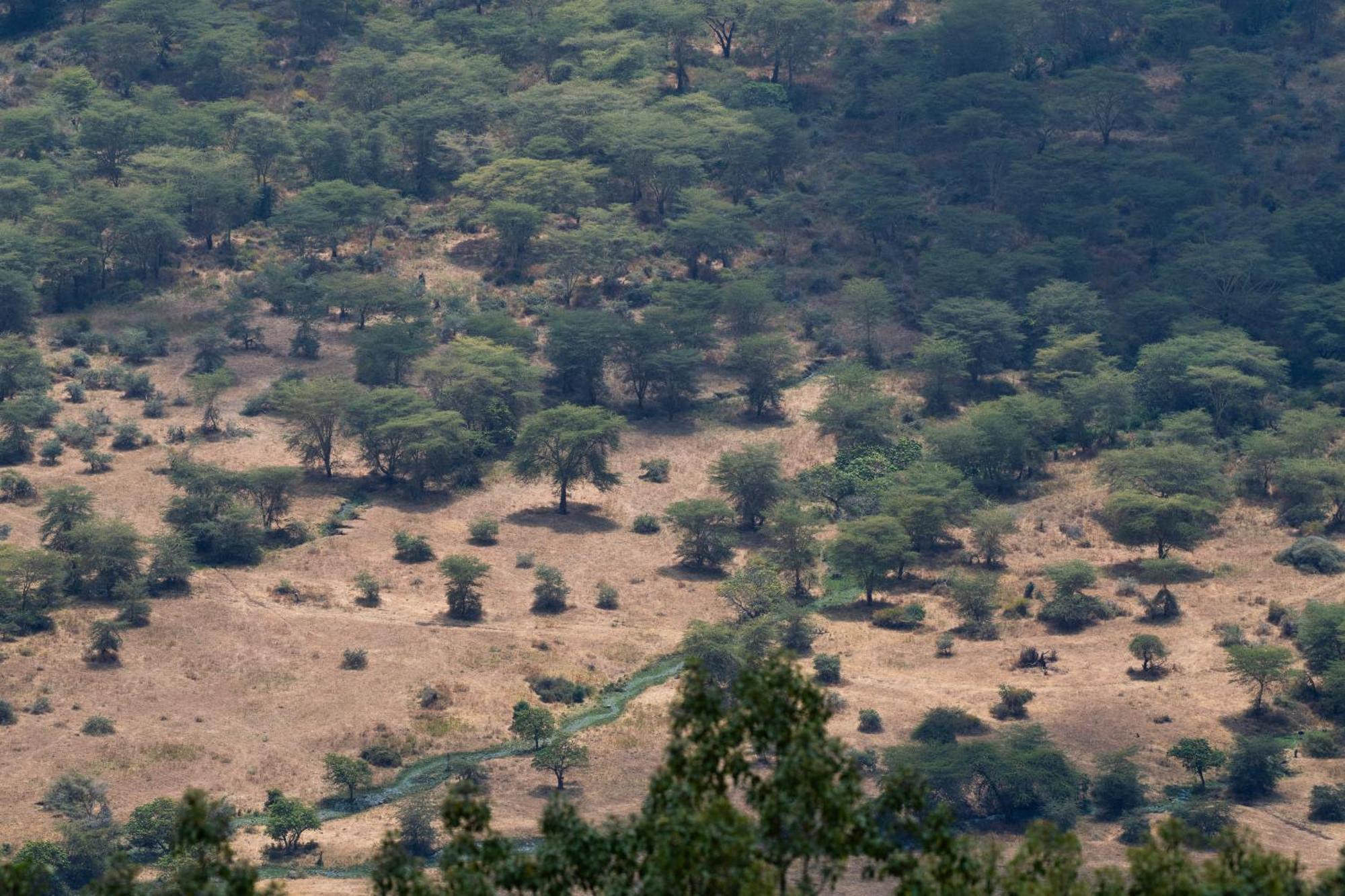 Ngorongoro Lodge Member Of Melia Collection - The Leading Hotels Of The World Exteriör bild