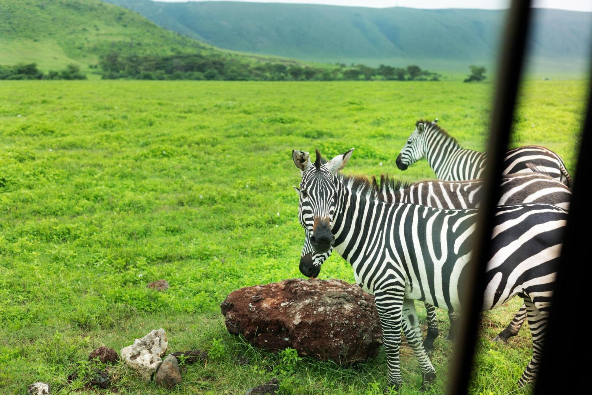 Ngorongoro Lodge Member Of Melia Collection - The Leading Hotels Of The World Exteriör bild
