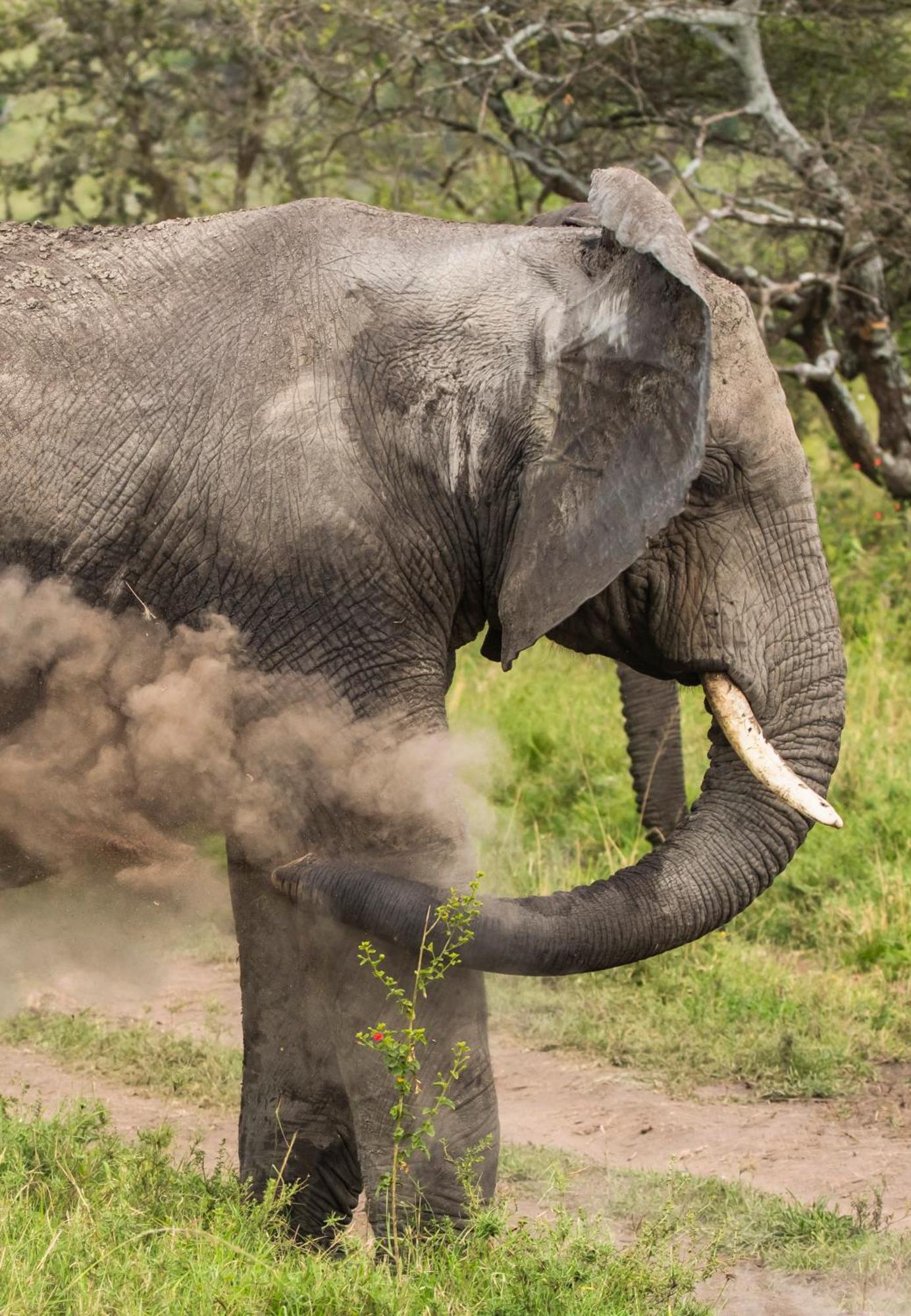 Ngorongoro Lodge Member Of Melia Collection - The Leading Hotels Of The World Exteriör bild